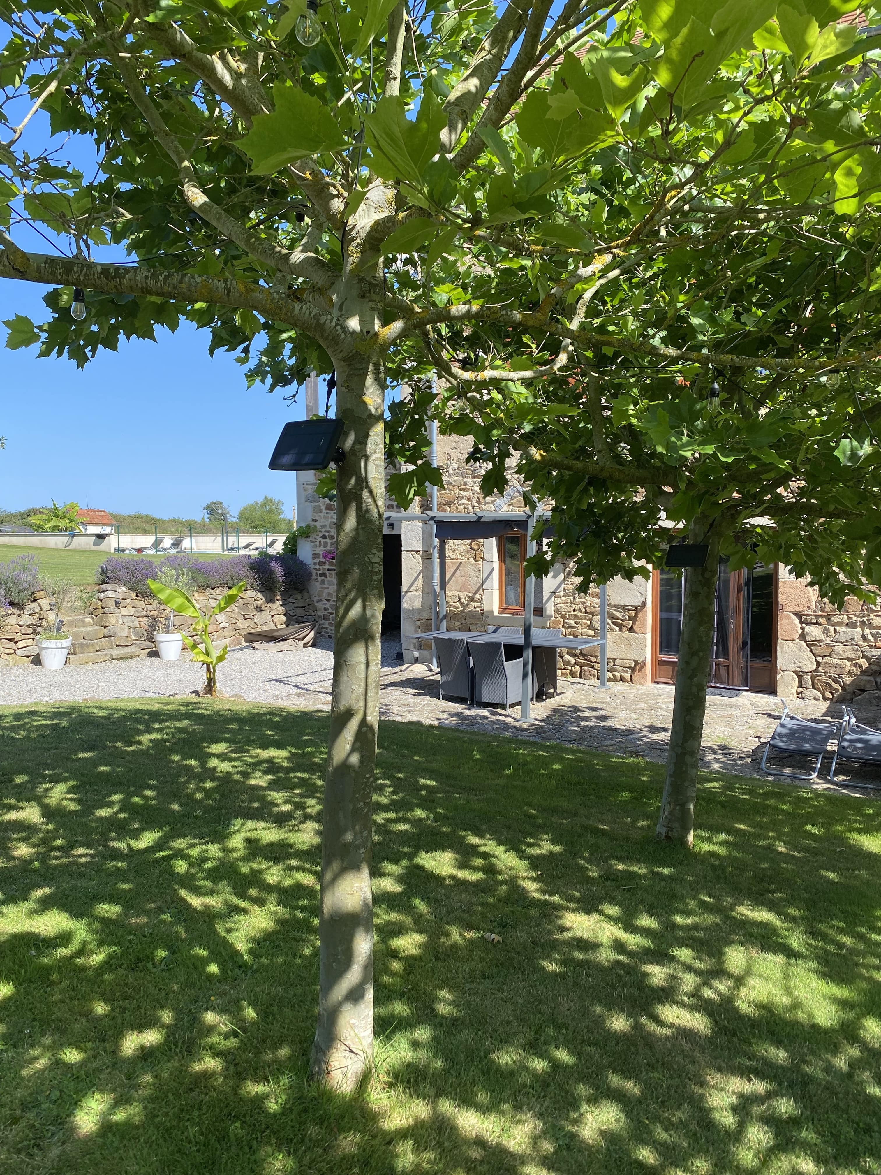 IMG_3246_min.jpeg IMG_3246_min.jpeg