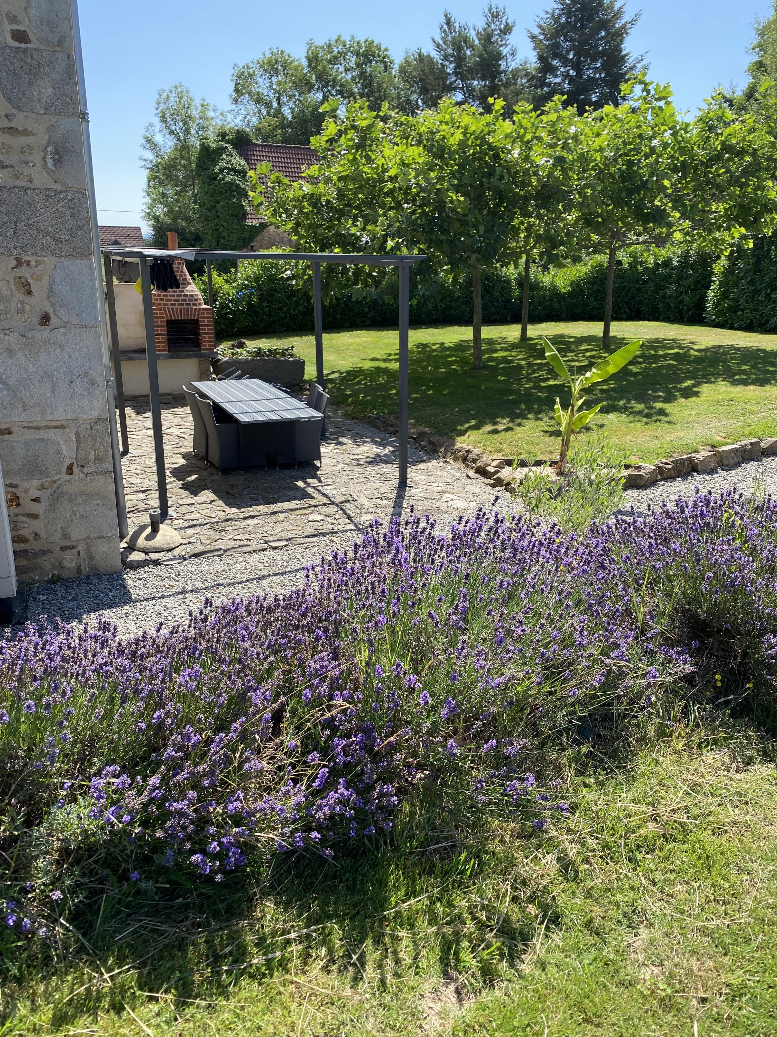 IMG_3251_min.jpeg IMG_3251_min.jpeg